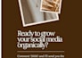 design canva templates for your social media content